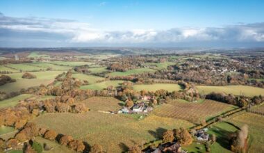 A Gorgeous Vineyard Just Two Hours From London Is Up For Sale