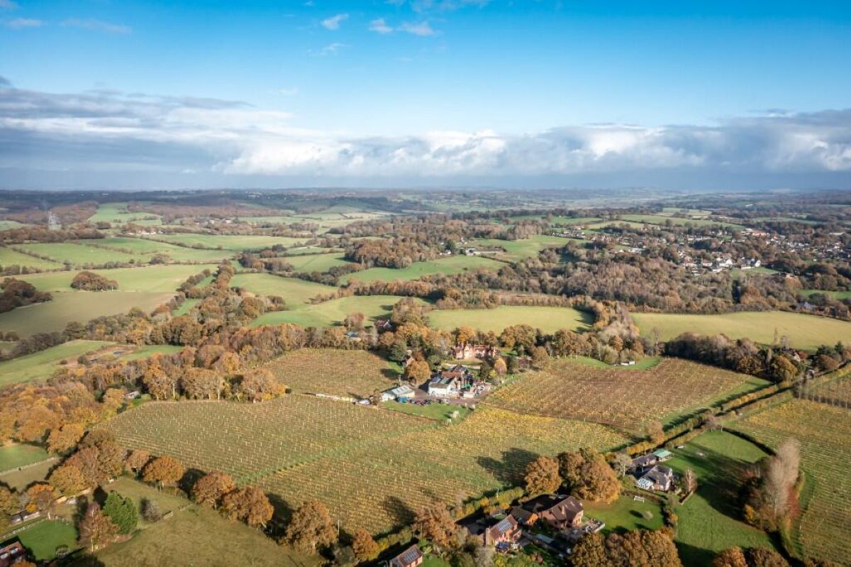 A Gorgeous Vineyard Just Two Hours From London Is Up For Sale
