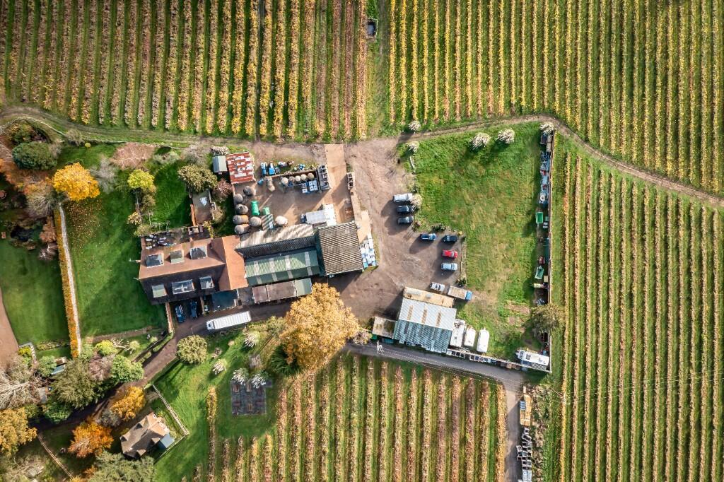 A birdseye view of a vineyard and its buildings