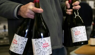 French wine industry warns of 'brutal' impact from US tariffs