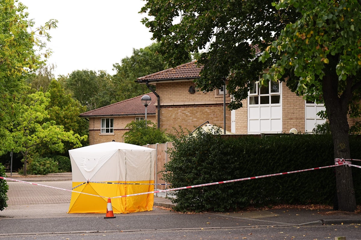 Murder investigation launched after woman fatally assaulted