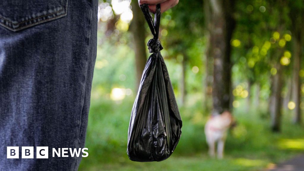 Dog foul fines top £50k in Northern Ireland as DNA database explored