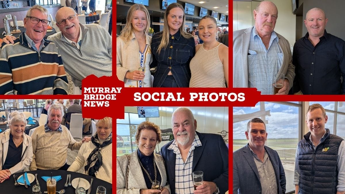 Spring racing business lunch 2025