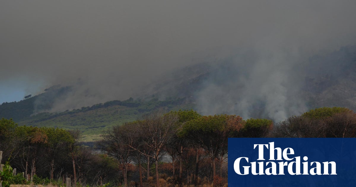 Wildfires close Mount Vesuvius trails while fierce blazes continue in France | Wildfires