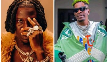 Stonebwoy lambasts Shatta Wale on social media