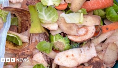 Carrot, potato, parsnip and other vegetable peelings lie in a food waste bin.