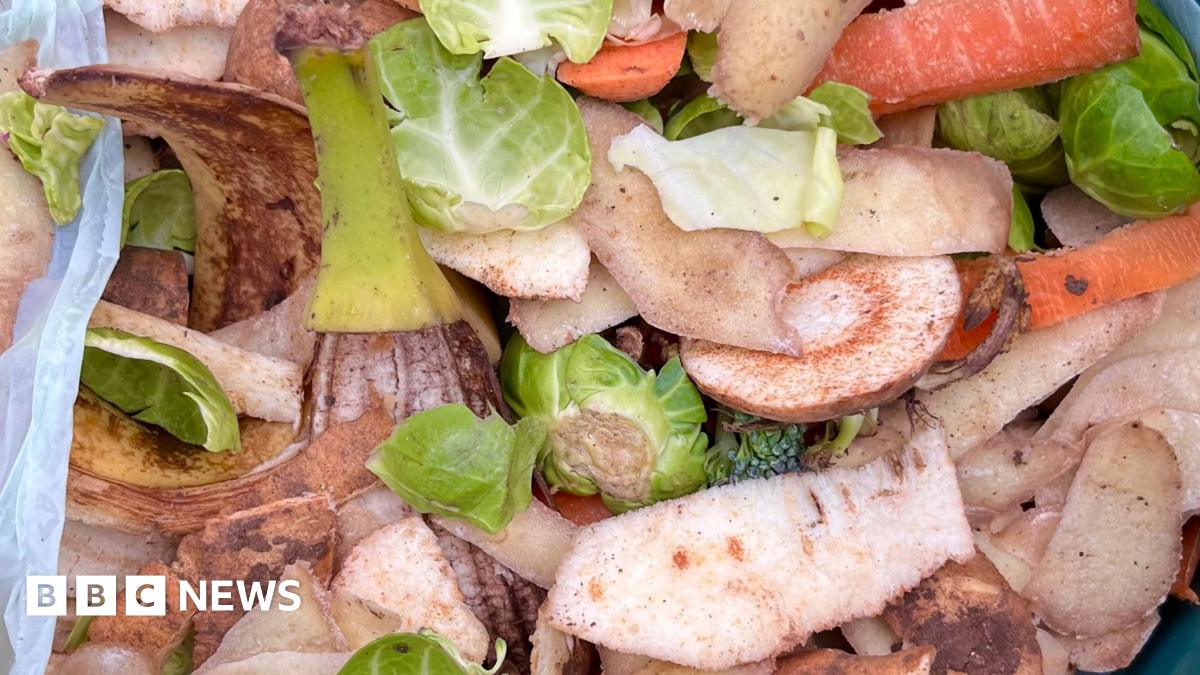 Carrot, potato, parsnip and other vegetable peelings lie in a food waste bin.