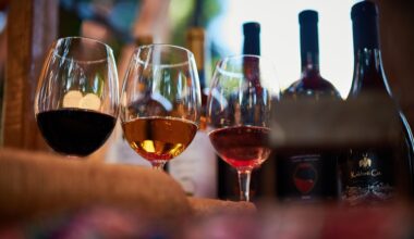 German Embassy highlights growing popularity of Georgian wine in Germany