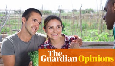 Digested week: Allotment folly, the trolley problem and gen Z bedtimes | Lucy Mangan