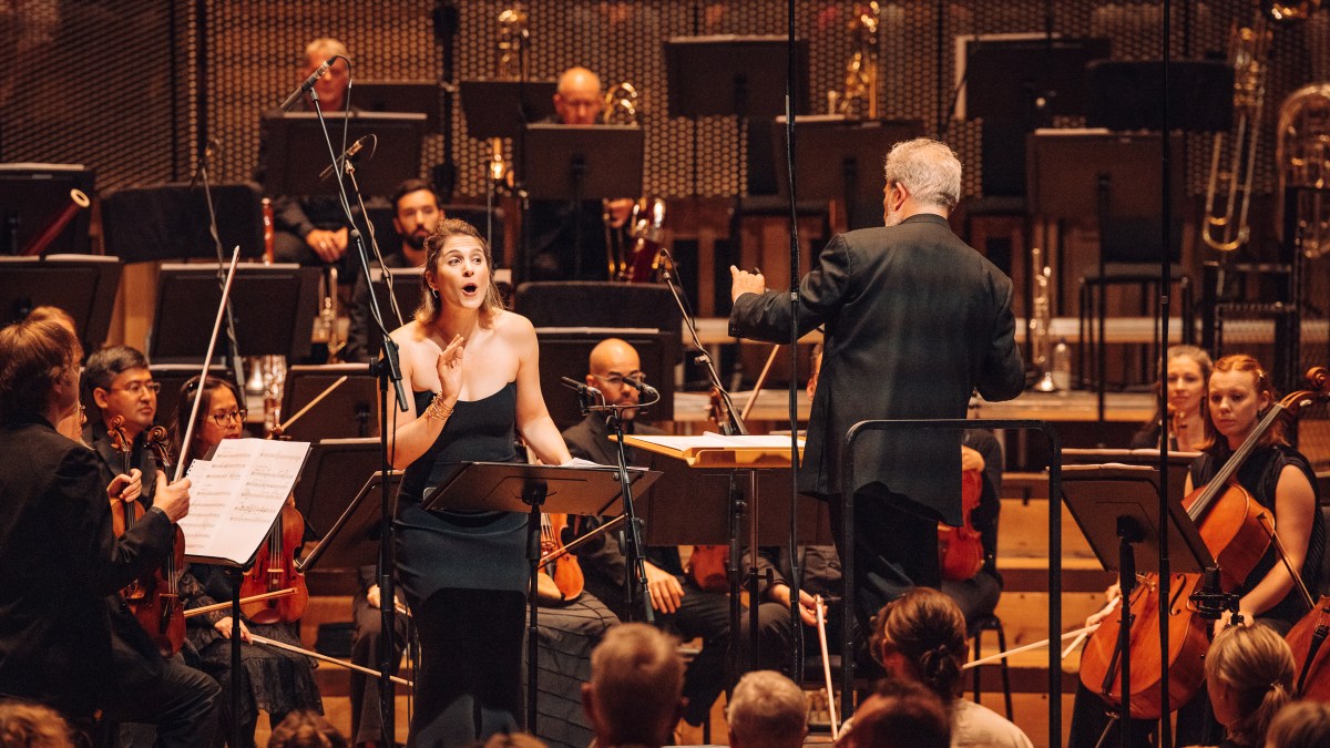 Bristol Beacon round-up — a celebratory, eclectic bank holiday weekend