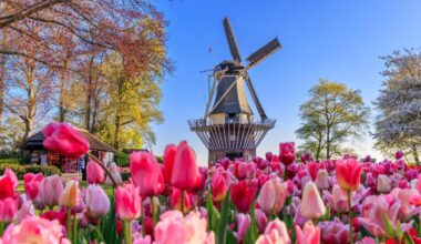 How Dutch-style pensions could solve Britain’s retirement crisis
