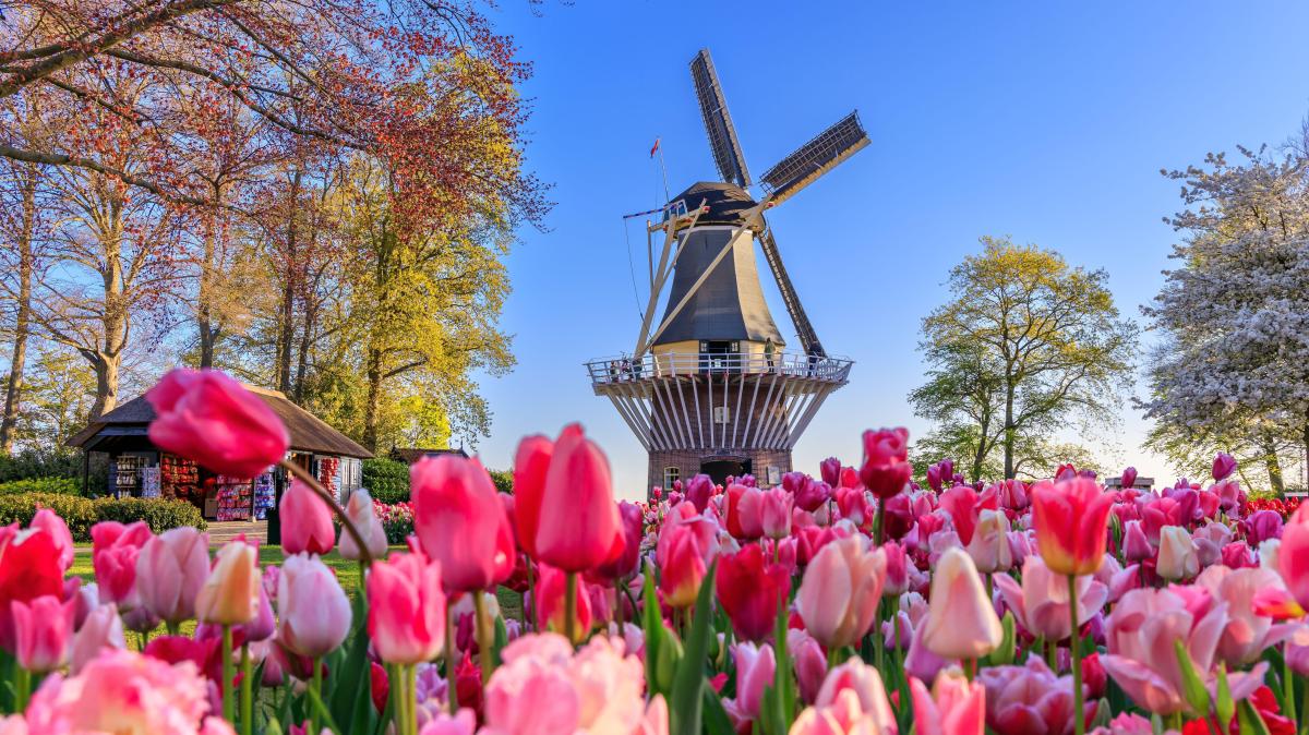 How Dutch-style pensions could solve Britain’s retirement crisis