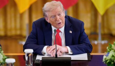 Trump offers air support to Ukraine as he pushes for summit