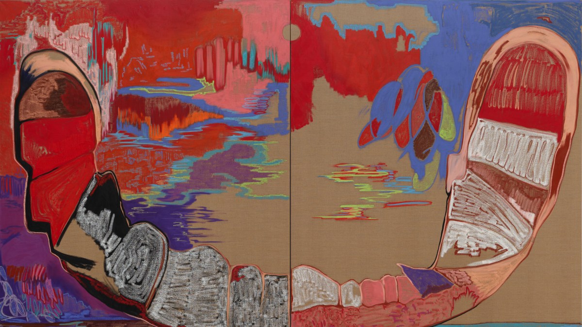 Gated Canyons review — from a Flemish dog to a riot of colour