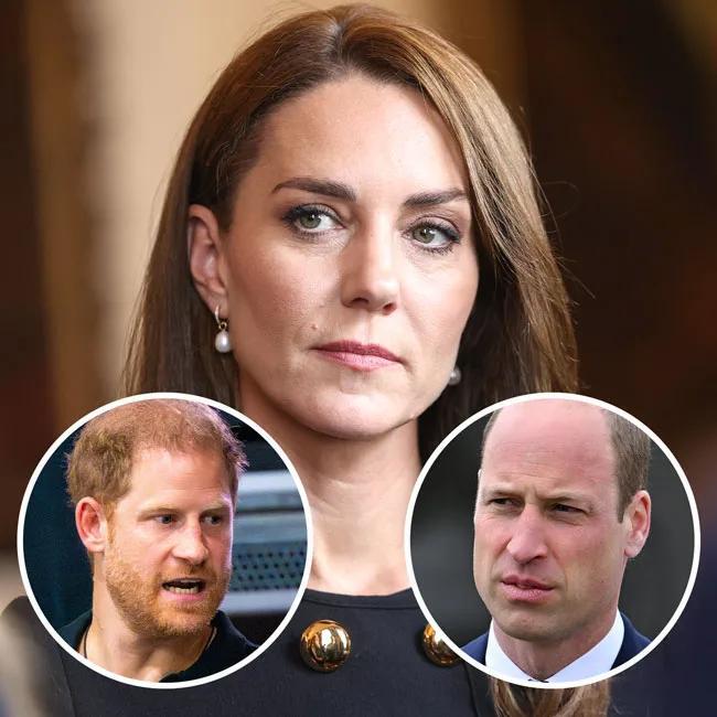 Kate Middleton Is Reportedly 'Deeply Troubled' By Prince William And Prince Harry's Ongoing Rift And Wants To Reunite Them: 'She's The Only One In The Royal Family Who Can Possibly Do It'