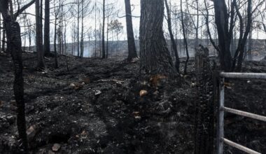 High fire risk issued for the whole of Scotland until middle of next week