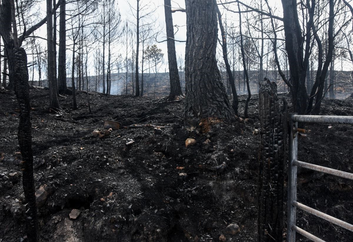 High fire risk issued for the whole of Scotland until middle of next week