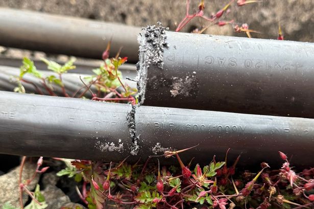 Cut cables which caused disruption on west coast mainline on 20/08/25