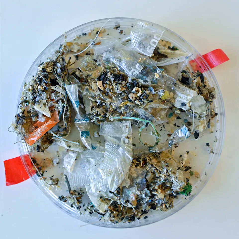 Microplastics now pollute almost every corner of the Earth. (Getty)