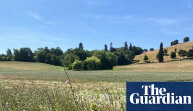 Country diary: A place where the soil is the star | Environment