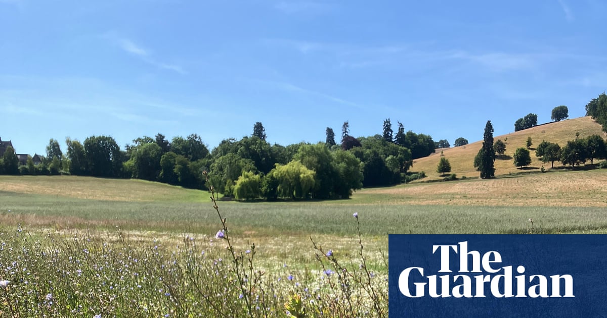 Country diary: A place where the soil is the star | Environment