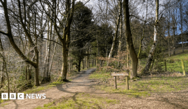 A general view of Witton Country Park, showing an avenue of trees around a walkway, with a wooden sign to the right.