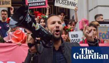 Zack Polanski pulling away in race to be party leader, senior Greens believe | Green party