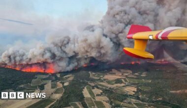A wall of fire seen from an aircraft burns across the green patchwork of southern France fields.