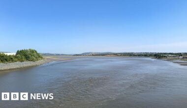 Swansea county housing project halted due to water pollution concerns