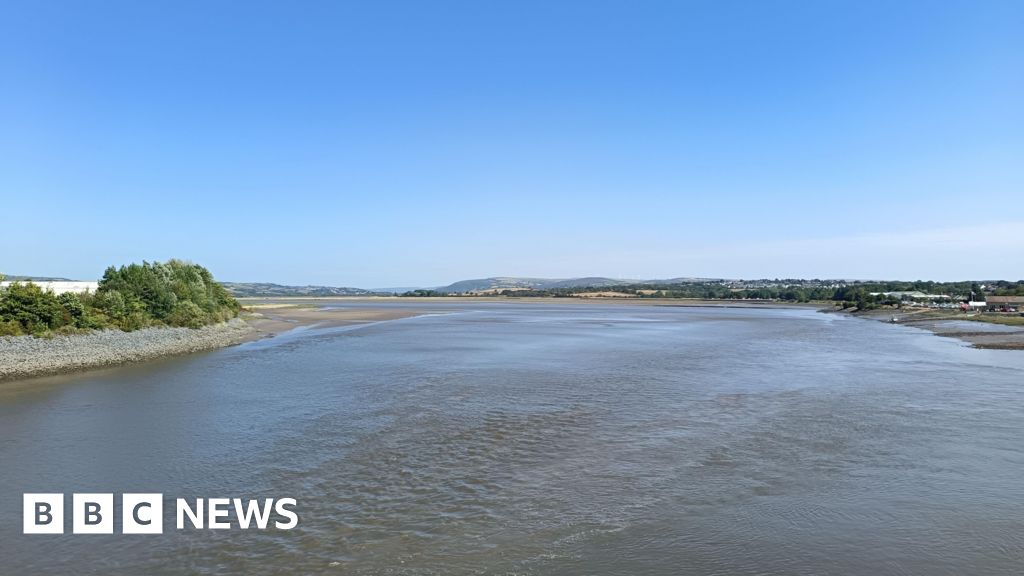 Swansea county housing project halted due to water pollution concerns