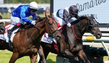 Memsie Stakes field and barrier draw for 2025