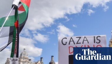 What will happen to people arrested at Palestine Action demonstration? | UK news