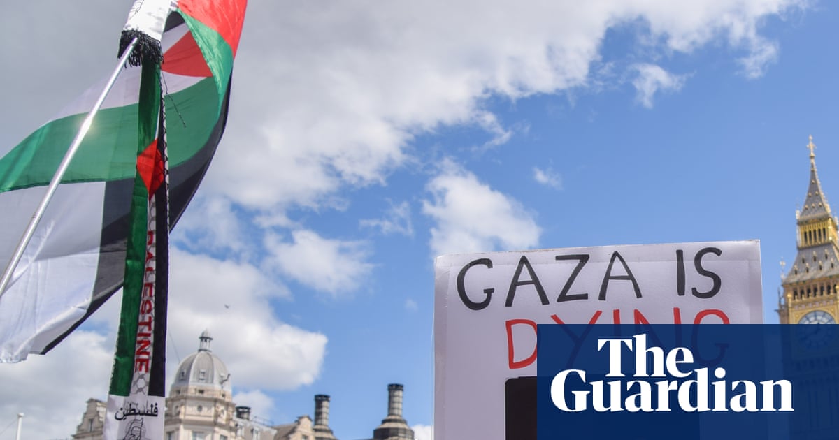 What will happen to people arrested at Palestine Action demonstration? | UK news