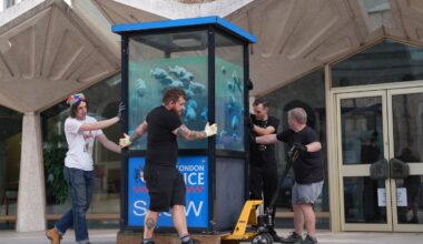 London Museum secures Banksy’s iconic 'Piranhas' for new home