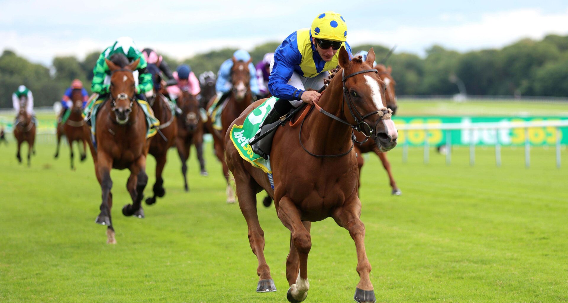 Four wagers for York and Ascot