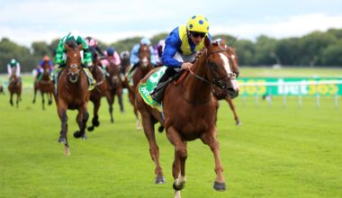 Four wagers for York and Ascot