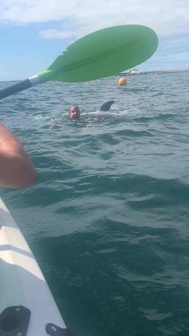 Video grab of a dolphin interacting with a member of the public off the beach in Lyme Regis, Dorset