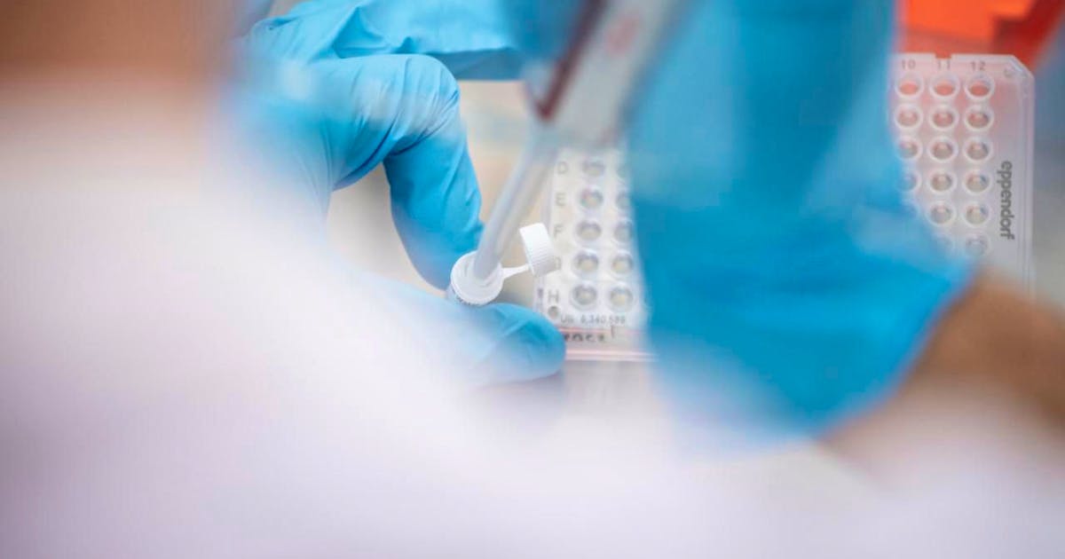 Gene scissors: Zurich research team combines genetic engineering with AI