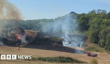 Large grass fire spreads on Bristol's Stoke Park Estate