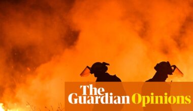 Spanish people know deadly heatwaves are now an annual event. So why are our politicians in denial? | María Ramírez