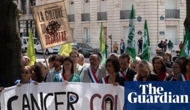 French authority overrules plan to reintroduce banned pesticide | Environment