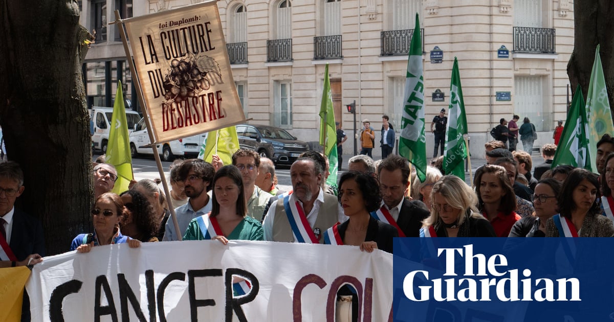 French authority overrules plan to reintroduce banned pesticide | Environment