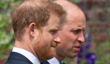 Queen 'intervened' after William 'snubbed' important Harry moment - Celebrity News - Entertainment