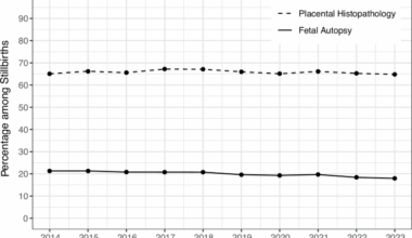 Trends in fetal autopsy and placental histopathology following stillbirth, United States, 2014–2023
