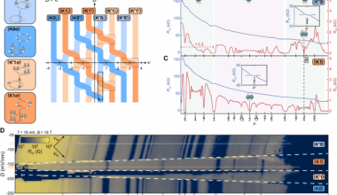 Quarter- and half-filled quantum Hall states and their topological orders revealed by daughter states in bilayer graphene