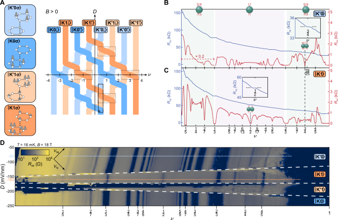 Quarter- and half-filled quantum Hall states and their topological orders revealed by daughter states in bilayer graphene