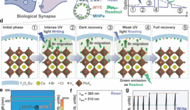 Smart phosphor with neuromorphic behaviors enabling full-photoluminescent Write and Read for all-optical physical reservoir computing