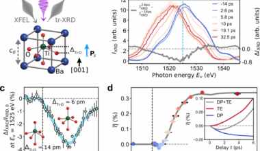 Ultrafast decoupling of polarization and strain in ferroelectric BaTiO3