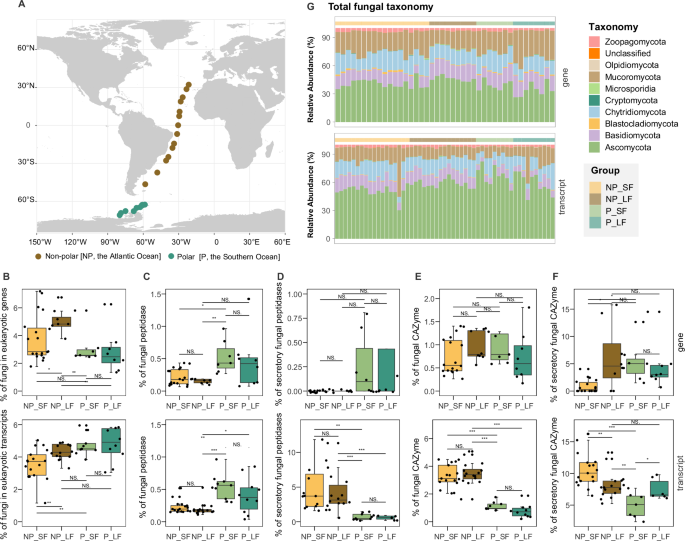 Organic matter degradation by oceanic fungi differs between polar and non-polar waters