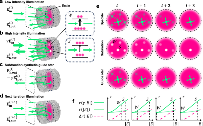 Optical focusing into scattering media via iterative time reversal guided by absorption nonlinearity